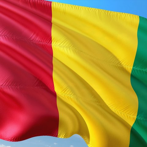 Zdjęcie: Afryka Zachodnia i Sahel: junty wojskowe w walce o wpływy