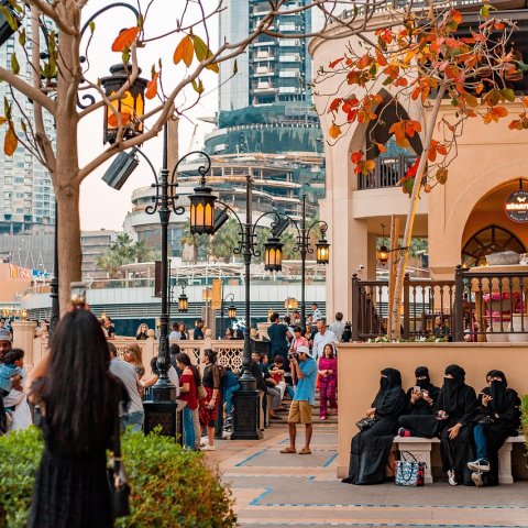 Zdjęcie: Zjednoczone Emiraty Arabskie w BRICS: co wnosi do bloku w 2026