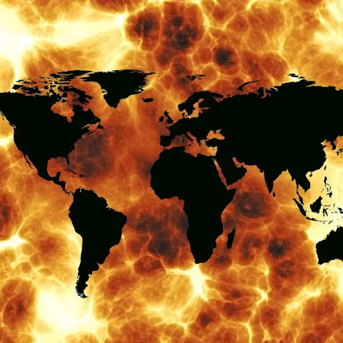 Zdjęcie: Migracje zwierząt, które zmieniają trasy przez zmiany klimatu