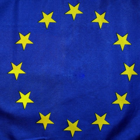 Zdjęcie: Skrajnie prawicowe partie w UE: które kraje skręciły w prawo?