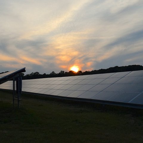 Zdjęcie: Energia słoneczna bije rekordy: gdzie i dlaczego rośnie najszybciej